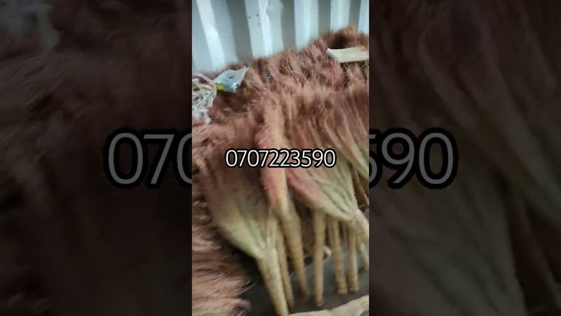 авганский казан