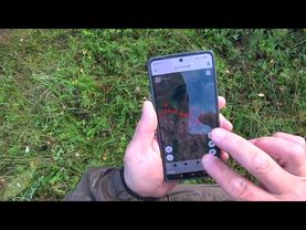 Охота с дратхааром на тетерева! Подняли лося с лëжки!