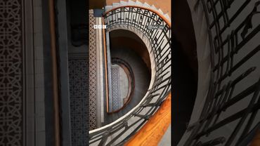 Під'їзди Львова заворожуть... #shorts #львів #lviv