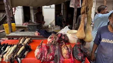 Пакистан - Страшные рынки , Уличная Еда!