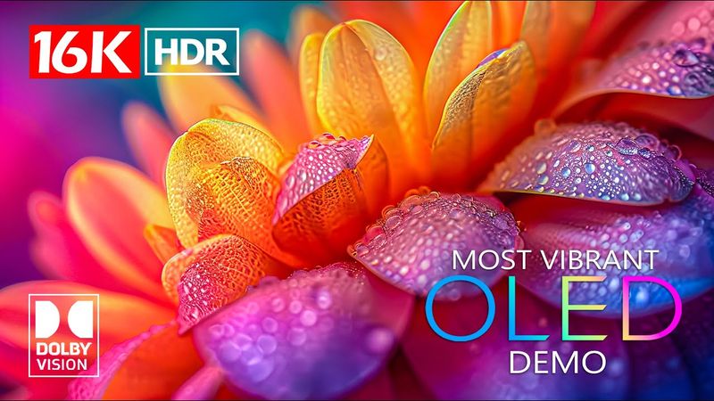 MOST VIBRANT🌸 Dolby Vision HDR 16K Video ULTRA HD  (4K / 8K TV)