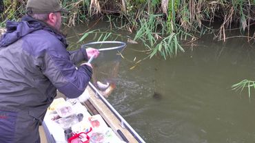 Речка готовая    4K