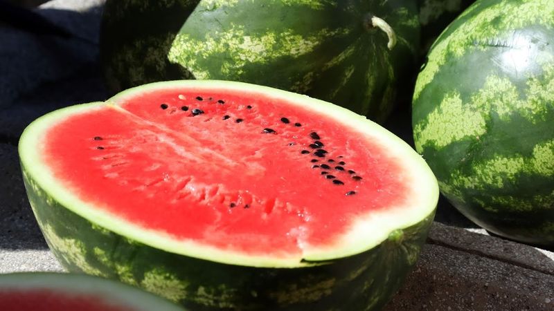 Plodovi zemlje, 29. lipnja 2025.