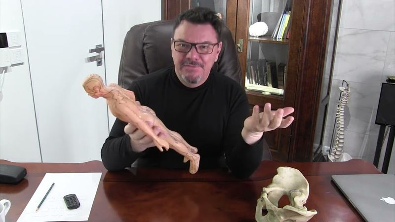 Лечение крестца, трактовка позиций смещения