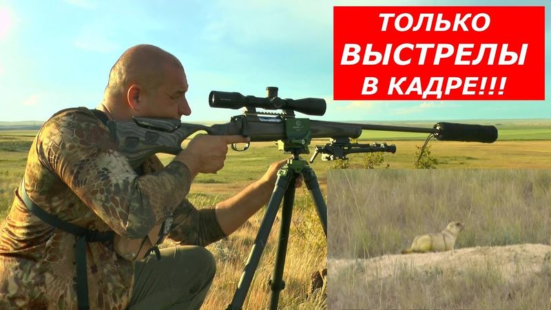 Только ВЫСТРЕЛЫ в кадре! Реальная охота! Слабонервным не смотреть....