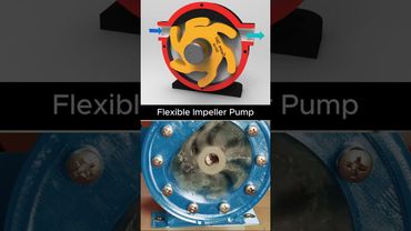 How a Flexible Impeller Pump Works | Rotary Pump Mechanism Explained