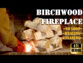 Birchwood Bliss: Cozy Fireplace Ambiance for Supreme Relaxation. Real time, No loop, 4K HDR