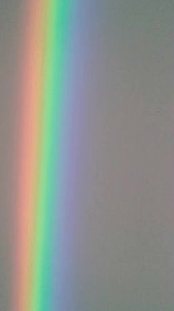 #милыйвофранксе #геншин #волчицаипряности #принцессамононоке #обещанн...