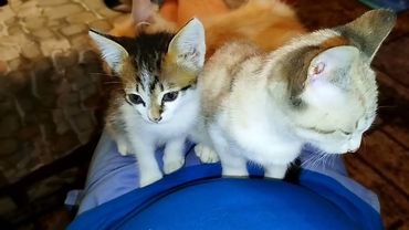 #Славянск. 8 сентября 2025г. Вечер.