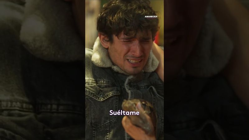 Tona descubre la brujería de Amapola para Alba #Amanecer #Uninovelas