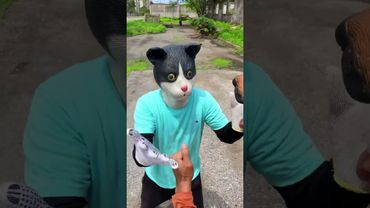 Ayudemos a este perrito y este gato ❤️‍🩹