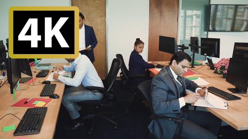 office working (part 5) | 4K  | Footage - Copyright Free