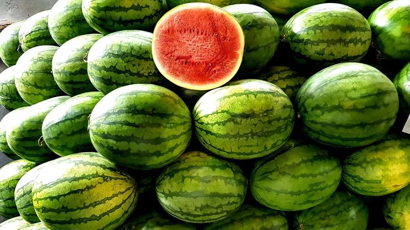 Plodovi zemlje, 11. svibnja 2025.