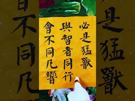 《智者語錄》你是誰不重要，跟誰在一起真的很重要！鳥隨鸞鳳飛騰遠，人伴賢良品自高！接了！轉發！功德無量！#圈子 #認知 #國學智慧 #正能量 #人生感悟 #人間清醒