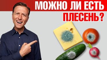 Плесень и грибок в организме: чем они реально опасны🧐