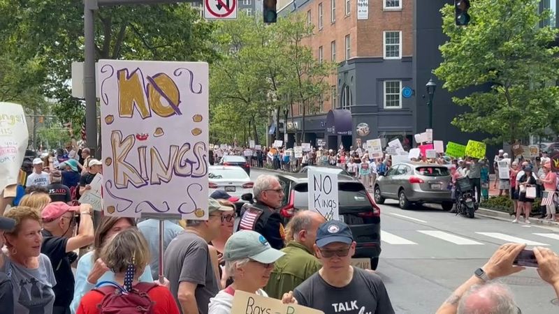 People take part in 'No Kings' protest near DC | AFP