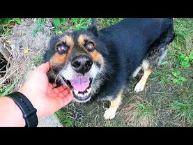 #Славянск. 10 сентября 2025г. Вечер.