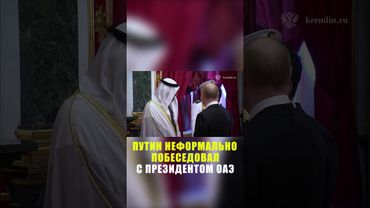 Путин и президент ОАЭ пообщались в неформальной обстановке