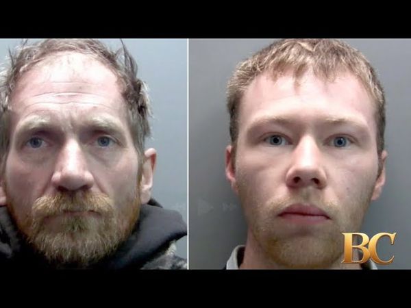 Men sentenced to over 4 years in prison for cutting down iconic tree