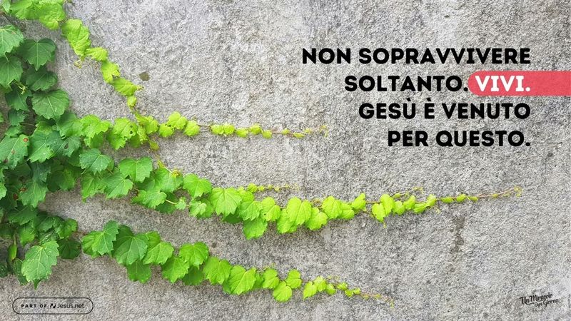Non sopravvivere soltanto. Vivi. Gesù è venuto per questo.| Un miracolo ogni giorno.