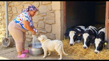 A Day in the Life of a village Woman | Peaceful Autumn Village Routine