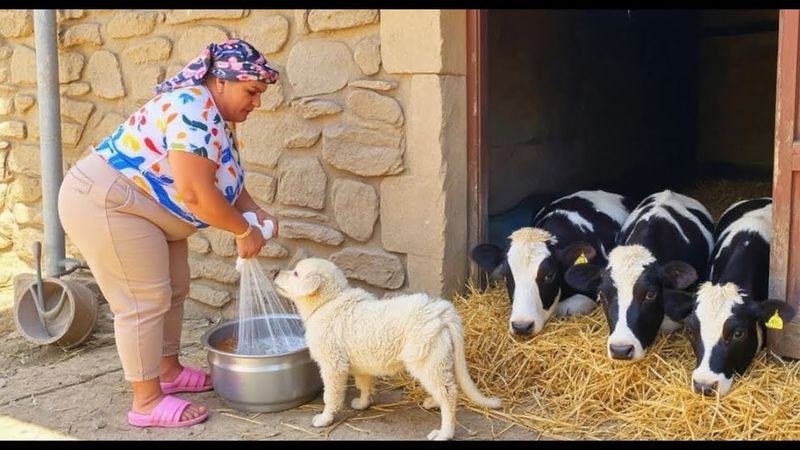 A Day in the Life of a village Woman | Peaceful Autumn Village Routine