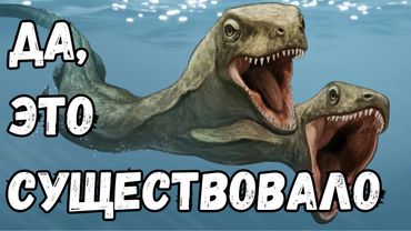 Странные Окаменелости, Которых не Должно Было Существовать