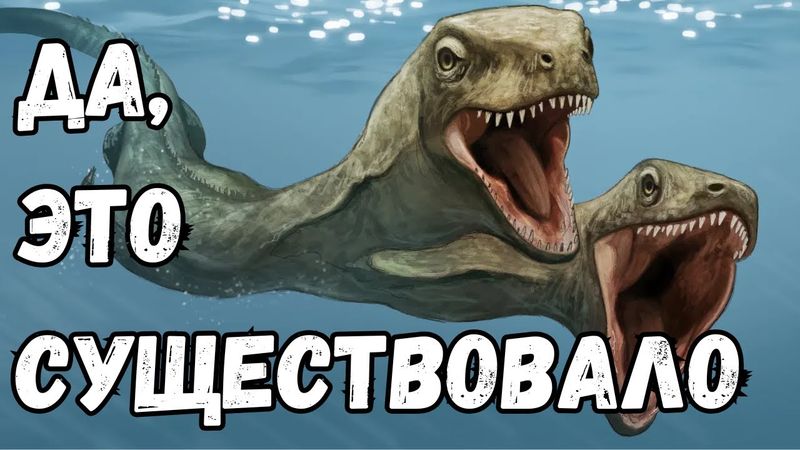 Странные Окаменелости, Которых не Должно Было Существовать