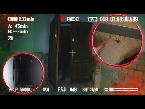 КТО-ТО ВНЕЗАПНО ВЫБЕЖАЛ НА НАС ИЗ ТЕМНОТЫ В ЗАБРОШКЕ