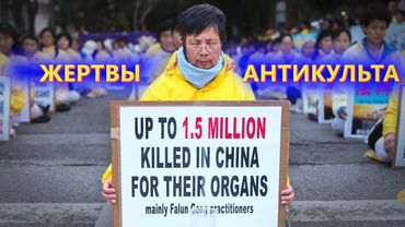 THE IMPACT. Эпизод 5. Дело Фалунь Дафа: террор в Китае