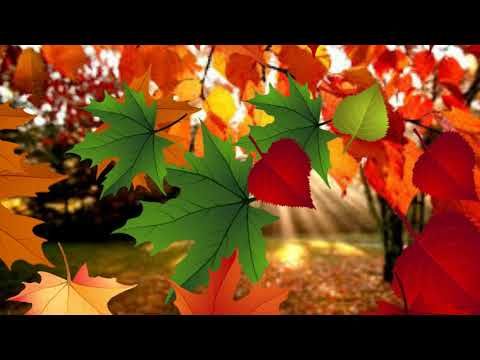 Футаж "Листопад"