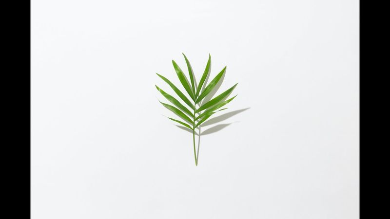 № 6 «Острые процессы, продвинутый»