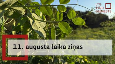 11. augusta laika ziņas