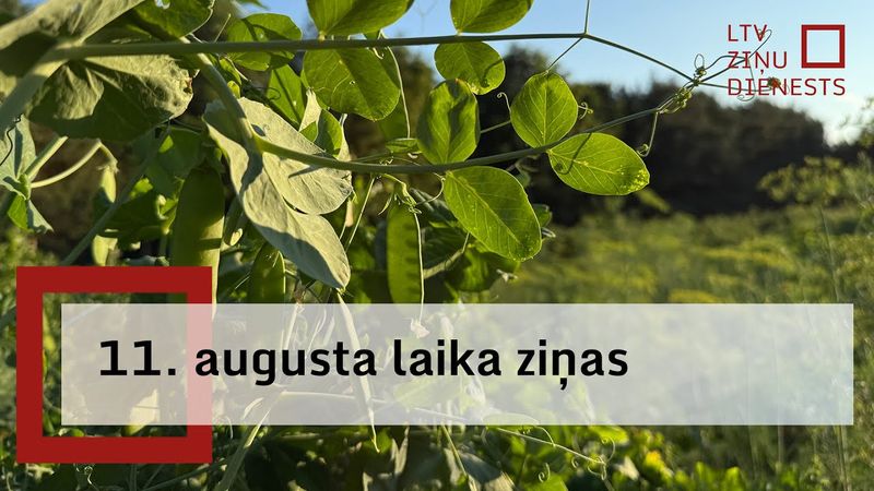 11. augusta laika ziņas