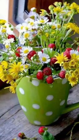 TikTok video #6974949398275034369