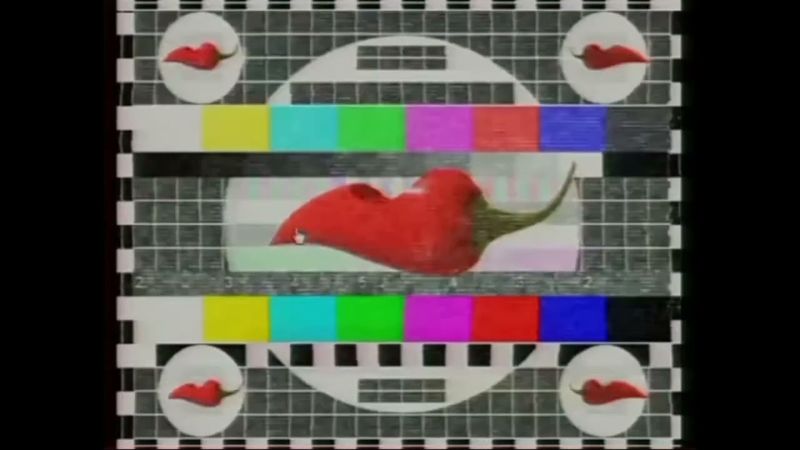 Промо "Спросите у тёщи, видит ли она - перец" (ДТВ, 2011) Без логотипа