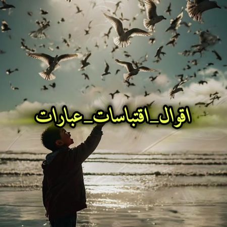 #😊 #اقوال_خالده #امثال #اقتباسات #هيمان 