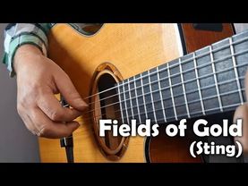 Fields of Gold (Sting) solo guitar cover Score Tab