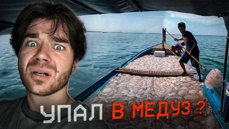 Он РАСТВОРИЛСЯ??? | ПАРАДОКС МАРТЫШКИ | Zadumaites