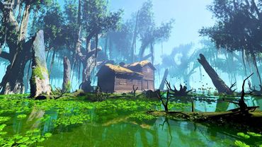 Лес 4K Релаксационный фильм о природе Звуки природы джунглей, тропический лес