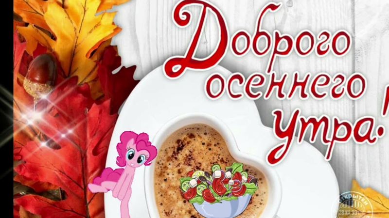 Доброе  осеннее утро. Хорошего дня и хорошего настроения.
