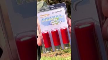 Shooting PIRANHA shotgun shells