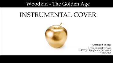 Woodkid - The Golden Age - INSTRUMENTAL COVER