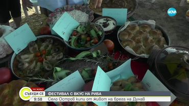 Фестивал на рибата се провежда в село Остров