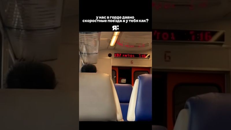 скоростные поезда  #meme #lol #train