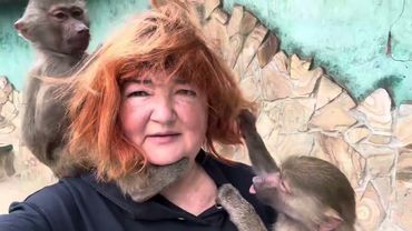 УЖАС! Ребенок зашел к слону, а Люсю бьют бутылкой ради видео!!?