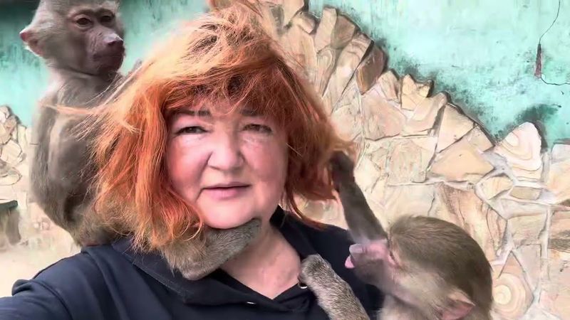 УЖАС! Ребенок зашел к слону, а Люсю бьют бутылкой ради видео!!?