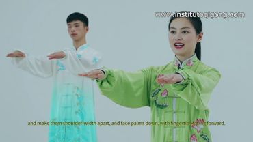 health qigong wuqinxi lección 5