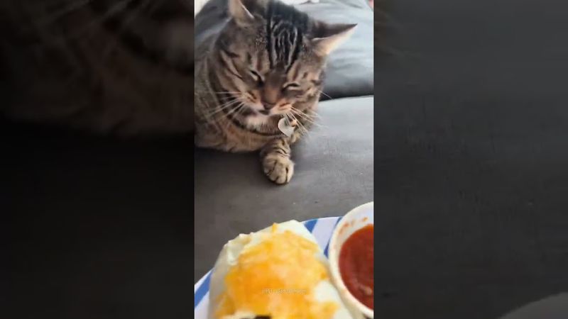 rojdak kadar çok şey öğrendim ama