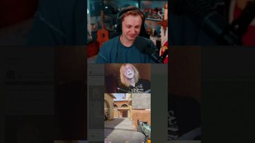 таролог #стинт #stint #stintik #прикол #реакция